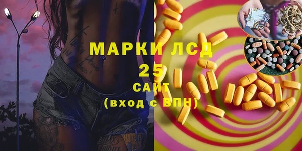 дживик Тобольск