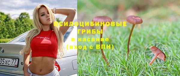 дживик Тобольск